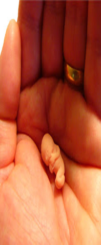 ¿Cuántos abortos se practican en España y cómo ha cambiado la ley?