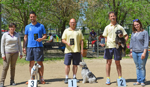 80 perros disputaron una plaza para el campeonato de España y el Mundo