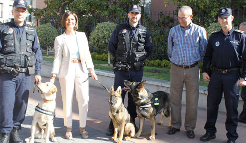 Sacha y Nemo, nueva unidad canina de la policía municipal 