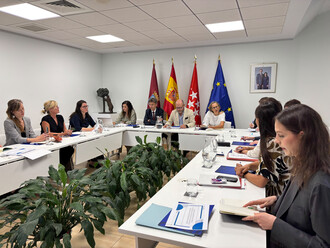 Madrid comparte su estrategia contra la violencia de género con Austria