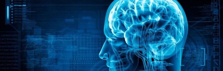 Investigan una vacuna para proteger del ictus al cerebro