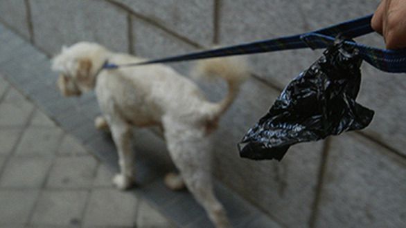 El Ayuntamiento gastará 100.000 € en bolsas para heces caninas