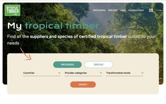 My Tropical Timber inicia con éxito su andadura como plataforma para profesionales de la madera tropical