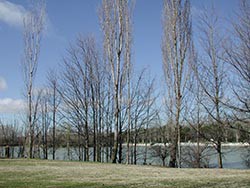 Móstoles invertirá 3 millones en remodelar el Parque Natural de El Soto