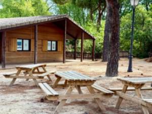 Campamento urbano 