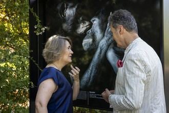 El Retiro presenta 'Emociones en peligro', una impactante muestra de fauna amenazada
