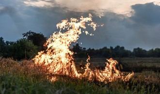 Circular para limpieza de parcelas y prevención de incendios antes del 14 de junio