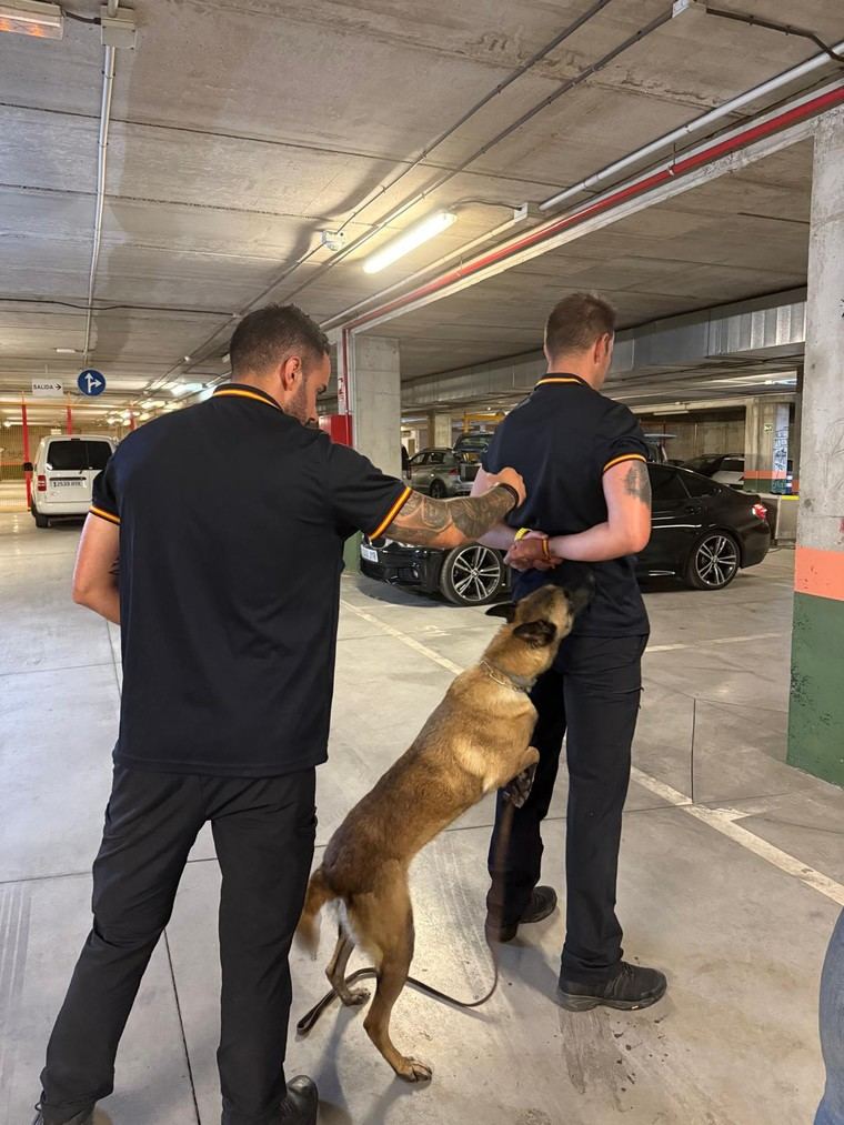 Entrenamiento especial de unidades caninas en Collado Villalba reúne a agentes de toda España