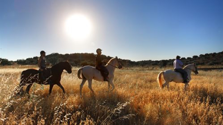 8 actividades para practicar turismo activo en Madrid