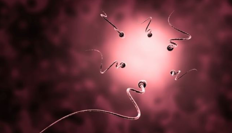 La calidad del semen, ¿de qué depende?