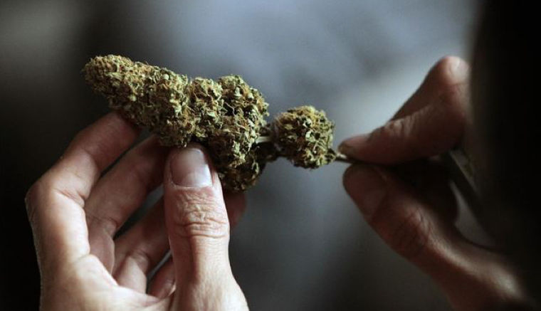 La ley que legaliza la marihuana en Washington DC entra en vigor este jueves