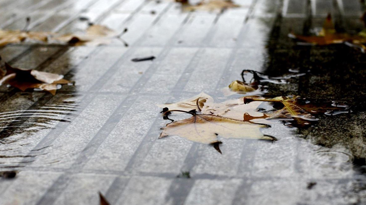 Este será un otoño más cálido y lluvioso tras un verano muy cálido