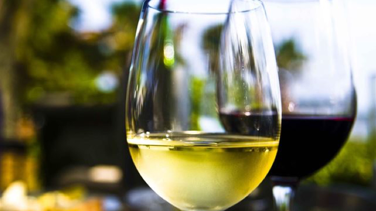 Consumo moderado de vino ayuda a proteger la salud cardiovascular