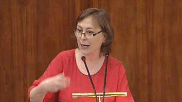Renuncia al acta la diputada 'errejonista' de Podemos Olga Abasolo