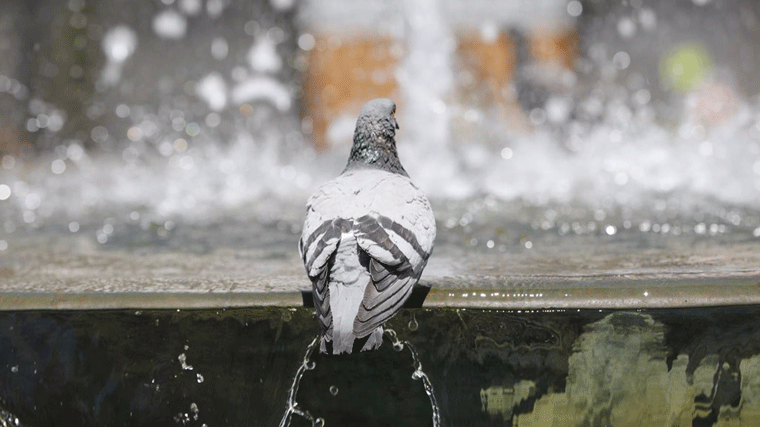 La AEMET activa el nivel amarillo en la región por temperaturas de 35º