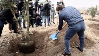 Arrancan las obras del parque de Valdebebas: 5.500 árboles serán el gran pulmón del noreste