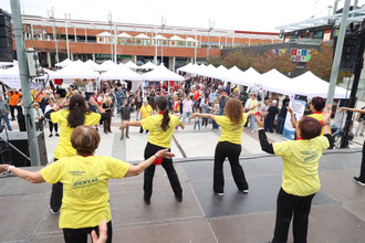Éxito en la VI Feria de Asociaciones con más de 30 actividades gratuitas