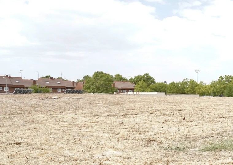 300 apartamentos asequibles para estudiantes en Alcorcón