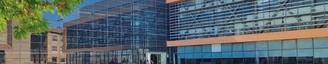 Alcorcón se une al Observatorio Estatal para combatir la violencia de género