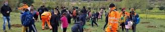 Más de 8.500 árboles plantados en Alcorcón durante la legislatura actual