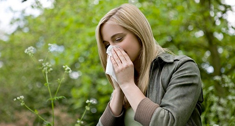 Salud inicia una campaña para prevenir la alergida al polen 