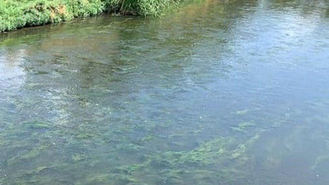 Alerta en Perales por el vertido de aguas residuales en el Manzanares en cuatro puntos