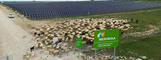 Iberdrola e Ingeteam avanzan en la hibridación de plantas solares con nuevos sistemas de almacenamiento