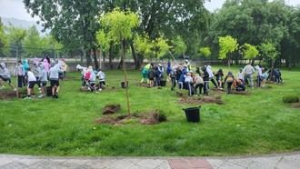 Estudiantes del Colegio Fontenebro participan en reforestación urbana con 50 árboles en Moralzarzal