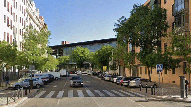 Ecologistas advierten que las obras de ampliación de la estación de Atocha afectarán a 386 árboles