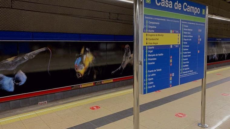 Animales en extinción estrenan hábitat en la estación de Metro de la Casa de Campo