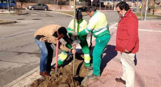 Plantados 282 árboles y 11.000 arbustos para reponer el arbolado