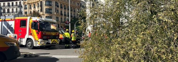 Una joven de 23 años muere al caerle encima un árbol de 20 metros y más de 2 toneladas