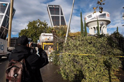 73 árboles caídos y 300 afectados en Madrid por los fuertes vientos
