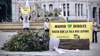 Greenpace elabora un ramo de boda para Almeida con ramas de árboles talados en Madrid