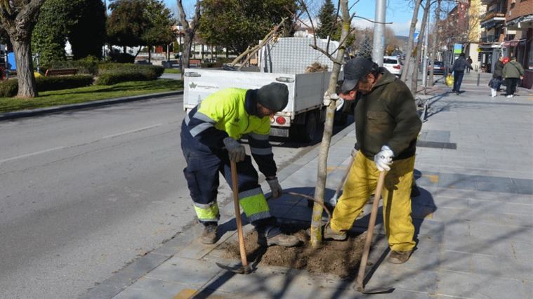 Plantados 350 árboles en calles del centro y urbanizaciones durante febrero