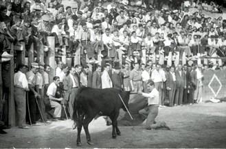 Exposición inédita sobre la familia Bienvenida en la Casa del Rey de Arganda del Rey
