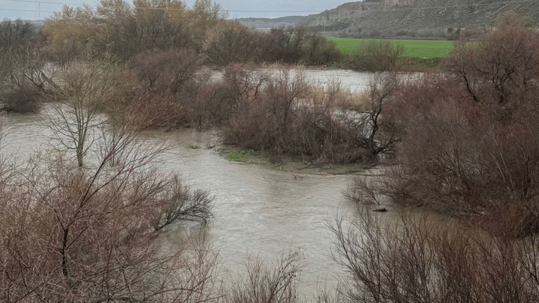 El Ayuntamiento en alerta ante el aumento del cauce del Rió Jarama