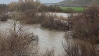 El Ayuntamiento en alerta ante el aumento del cauce del Rió Jarama