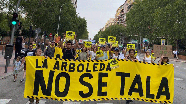 Cientos de vecinos claman contra la tala de árboles en Arganzuela: 'Lo vamos a parar'