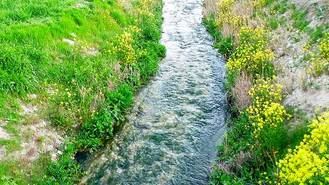 Puesta a punto del arroyo de Valdebebas conun drenaje para evitar puntos conflictivos y paseo con 752 árboles
