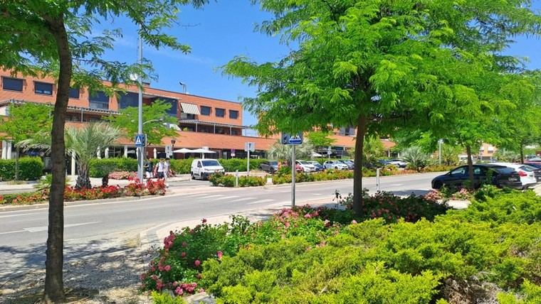 Plan para plantar 2.657 árboles en Arroyomolinos con una inversión de 1,8 millones de euros