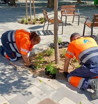 Programa de cualificación en jardinería para mayores de 52 años en Pinto