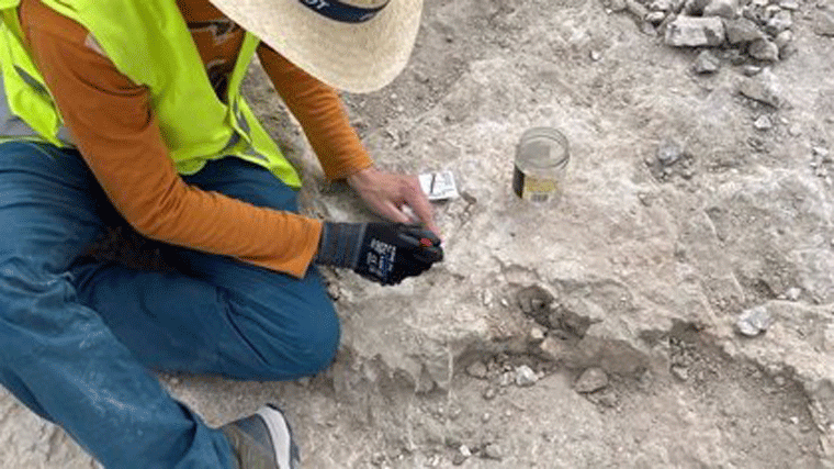 Hallan restos de elefantes primitivos de hace 14 millones de años en el polígono de La Atalayuela de Vallecas