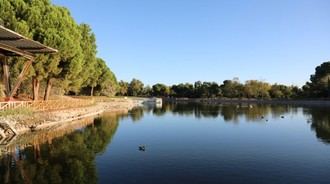 Aumento de mosquitos en Sector 3 por altas temperaturas
