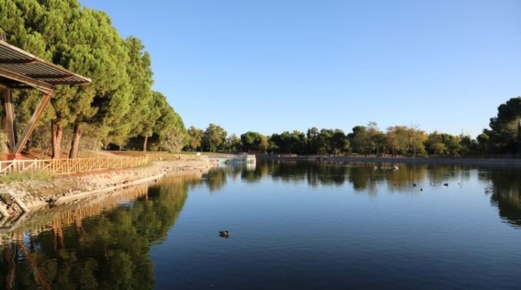 Aumento de mosquitos en Sector 3 por altas temperaturas