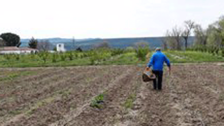 Las ayudas agropecuarias de la Comunidad se incrementan un 35%