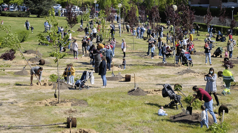 El Ayuntamiento abre la inscripción para la plantación familiar de árboles