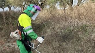 Arrancan los trabajos de desbroce para el mantenimiento de la carretera de Morata