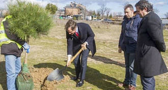 Arrancan las obras del mayor parque lineal de la localidad