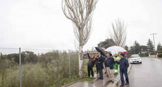 Estudio para retirar los árboles secos y los que tienen riesgo de caída